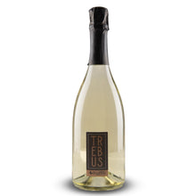 Carica l'immagine nel visualizzatore di Gallery, Trebus - Vino spumante di qualità brut
