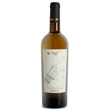 Carica l'immagine nel visualizzatore di Gallery, Falanghina Campania IGT