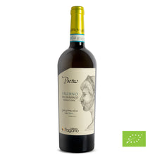 Carica l'immagine nel visualizzatore di Gallery, Pectus - Falerno del Massico bianco DOP