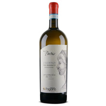 Carica l'immagine nel visualizzatore di Gallery, Pectus - Falerno del Massico bianco DOP - Magnum da 1,5L